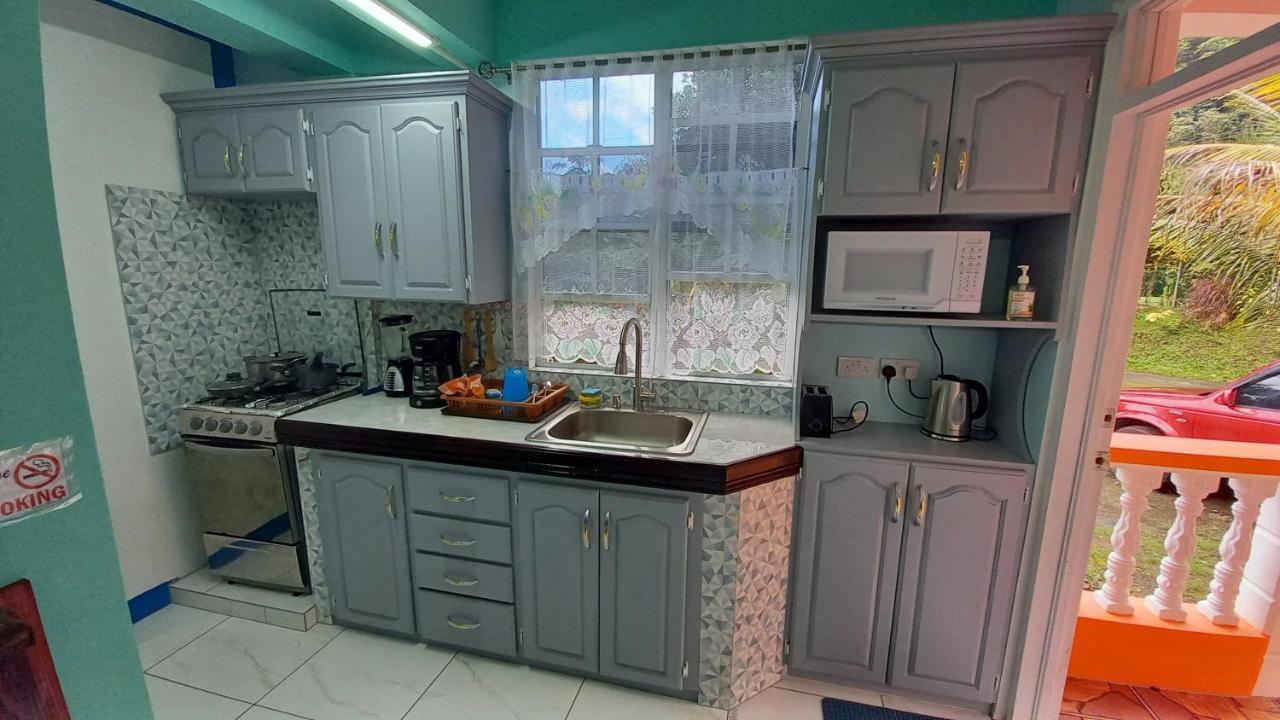 Cozy Vacation Retreat With Free Parking Apartment Roseau Luaran gambar