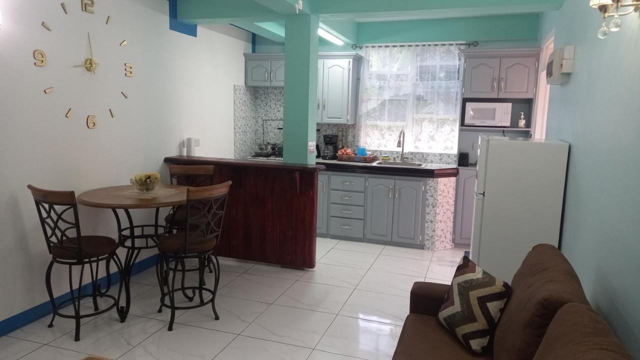 Cozy Vacation Retreat With Free Parking Apartment Roseau Luaran gambar