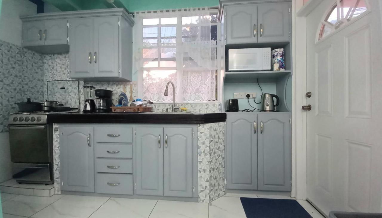 Cozy Vacation Retreat With Free Parking Apartment Roseau Luaran gambar